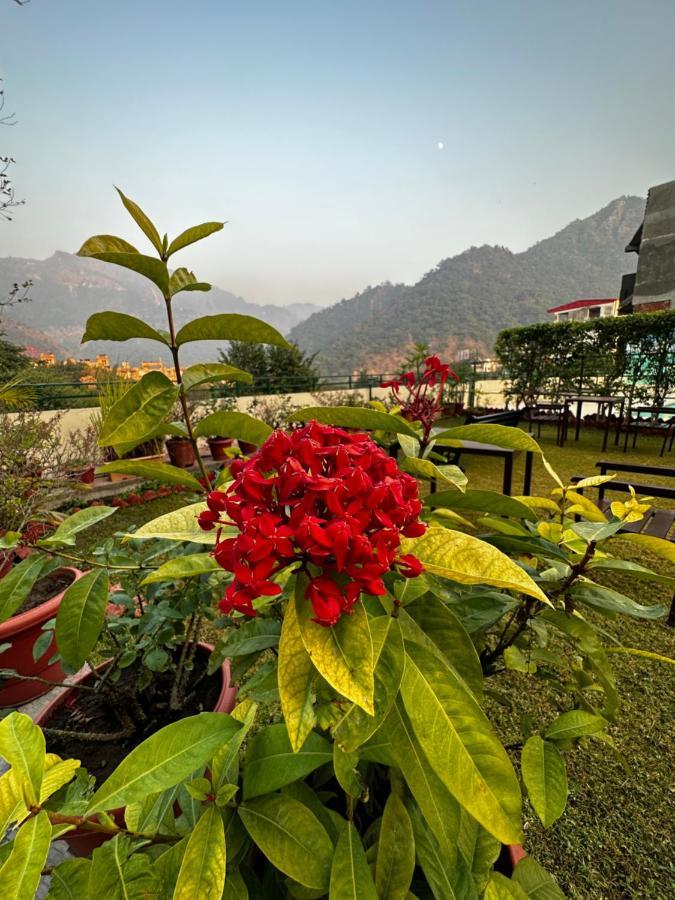 Hotel Dewa Retreat- A Himalayan Boutique Hotel Rishikesh Exterior photo